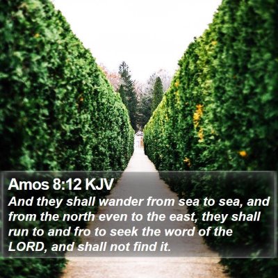 Amos 8:12 KJV Bible Verse Image