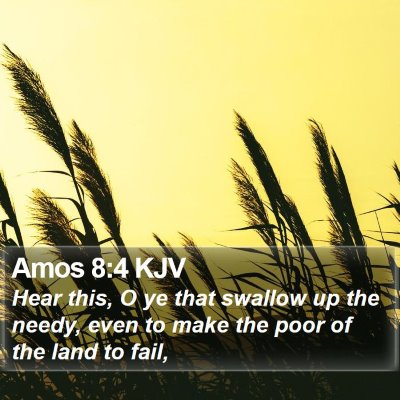 Amos 8:4 KJV Bible Verse Image