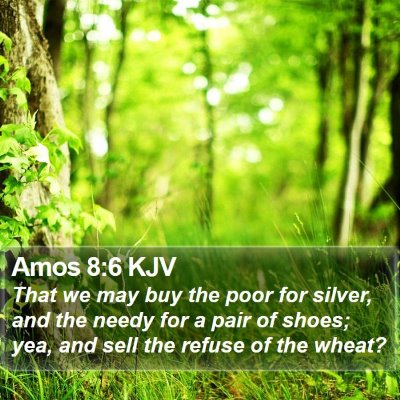 Amos 8:6 KJV Bible Verse Image