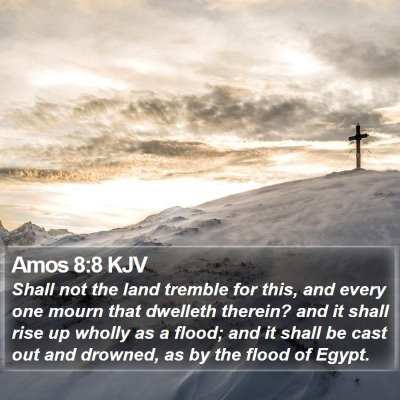 Amos 8:8 KJV Bible Verse Image