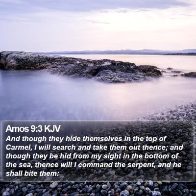 Amos 9:3 KJV Bible Verse Image