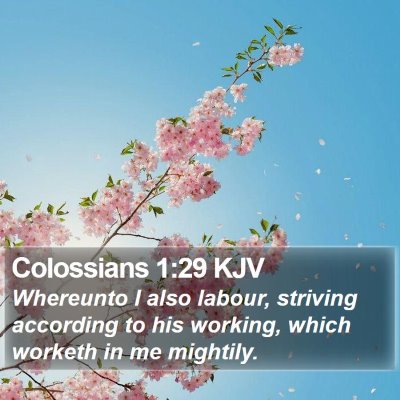 Colossians 1:29 KJV Bible Verse Image