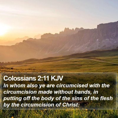 Colossians 2:11 KJV Bible Verse Image