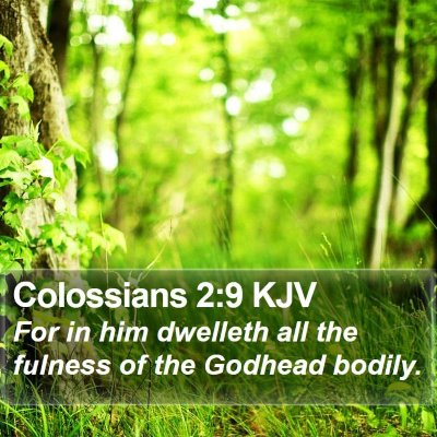 Colossians 2:9 KJV Bible Verse Image