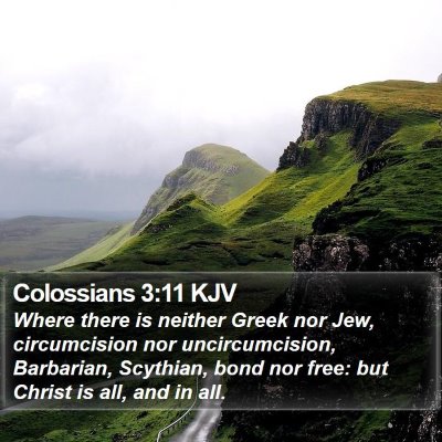 Colossians 3:11 KJV Bible Verse Image