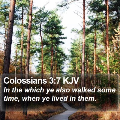 Colossians 3:7 KJV Bible Verse Image