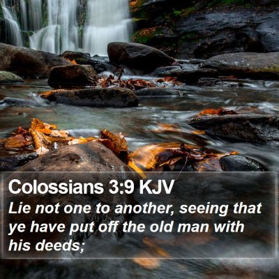 Colossians 3:9 KJV Bible Verse Image