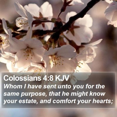 Colossians 4:8 KJV Bible Verse Image