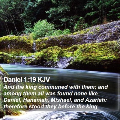 Daniel 1:19 KJV Bible Verse Image