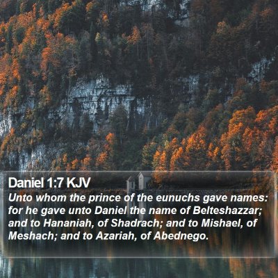 Daniel 1:7 KJV Bible Verse Image