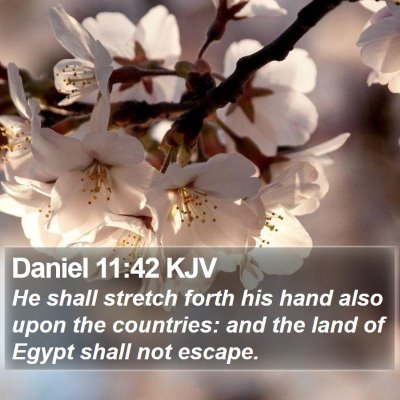 Daniel 11:42 KJV Bible Verse Image