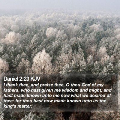 Daniel 2:23 KJV Bible Verse Image