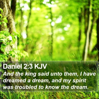 Daniel 2:3 KJV Bible Verse Image
