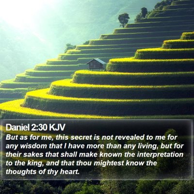 Daniel 2:30 KJV Bible Verse Image