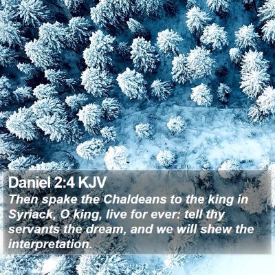 Daniel 2:4 KJV Bible Verse Image