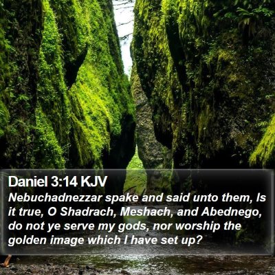 Daniel 3:14 KJV Bible Verse Image