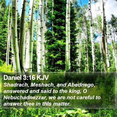 Daniel 3:16 KJV Bible Verse Image