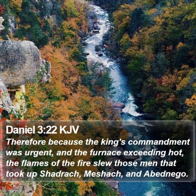 Daniel 3:22 KJV Bible Verse Image