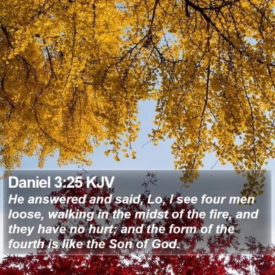 Daniel 3:25 KJV Bible Verse Image