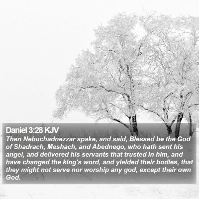 Daniel 3:28 KJV Bible Verse Image