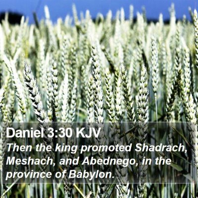 Daniel 3:30 KJV Bible Verse Image