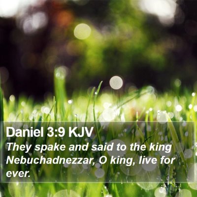 Daniel 3:9 KJV Bible Verse Image