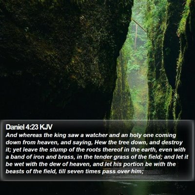 Daniel 4:23 KJV Bible Verse Image