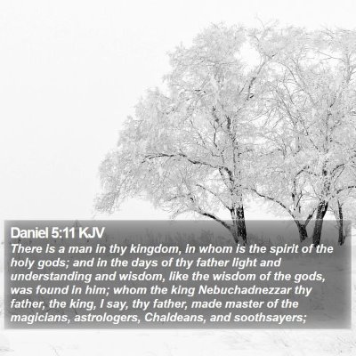 Daniel 5:11 KJV Bible Verse Image