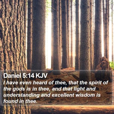 Daniel 5:14 KJV Bible Verse Image