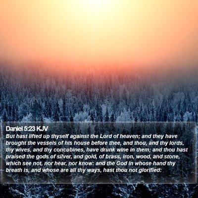 Daniel 5:23 KJV Bible Verse Image