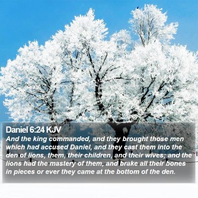 Daniel 6:24 KJV Bible Verse Image
