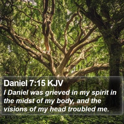Daniel 7:15 KJV Bible Verse Image