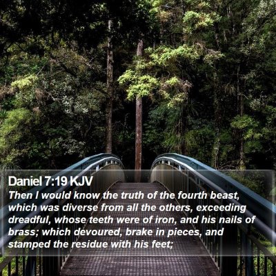 Daniel 7:19 KJV Bible Verse Image