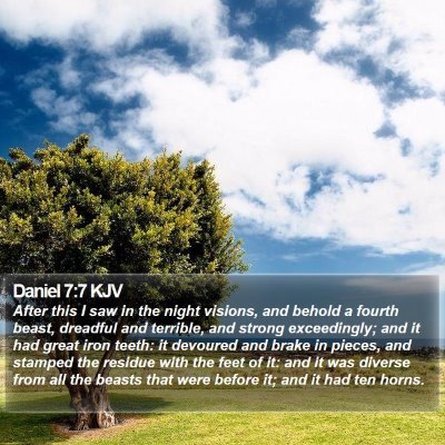 Daniel 7:7 KJV Bible Verse Image