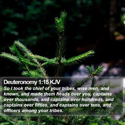 Deuteronomy 1:15 KJV Bible Verse Image
