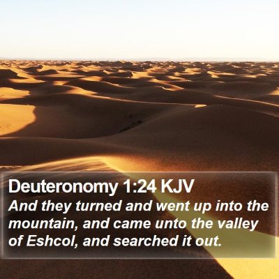 Deuteronomy 1:24 KJV Bible Verse Image