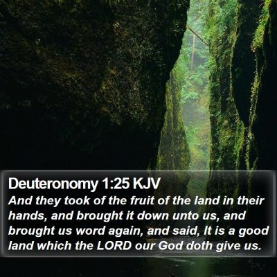 Deuteronomy 1:25 KJV Bible Verse Image