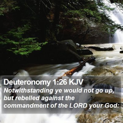 Deuteronomy 1:26 KJV Bible Verse Image