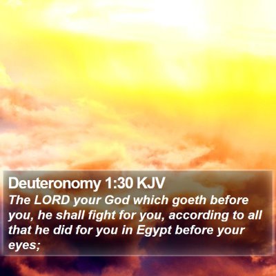 Deuteronomy 1:30 KJV Bible Verse Image