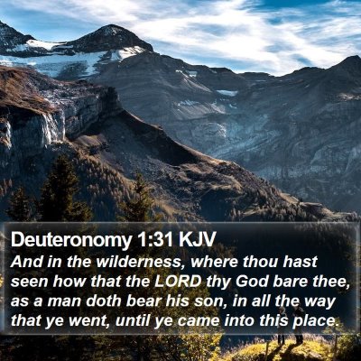 Deuteronomy 1:31 KJV Bible Verse Image