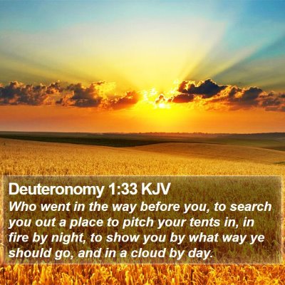 Deuteronomy 1:33 KJV Bible Verse Image