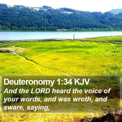 Deuteronomy 1:34 KJV Bible Verse Image