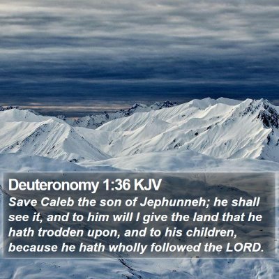 Deuteronomy 1:36 KJV Bible Verse Image
