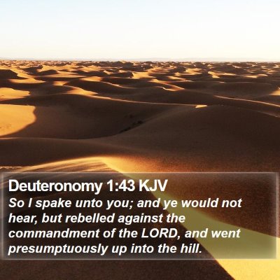 Deuteronomy 1:43 KJV Bible Verse Image