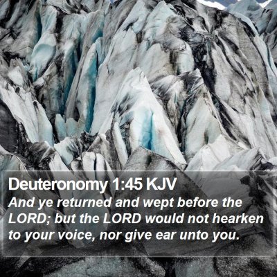 Deuteronomy 1:45 KJV Bible Verse Image