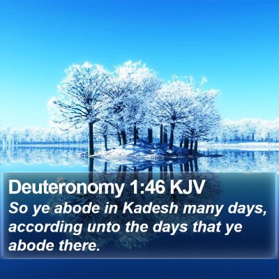 Deuteronomy 1:46 KJV Bible Verse Image