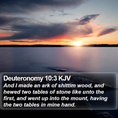 Deuteronomy 10:3 KJV Bible Verse Image