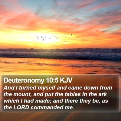 Deuteronomy 10:5 KJV Bible Verse Image