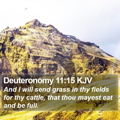 Deuteronomy 11:15 KJV Bible Verse Image