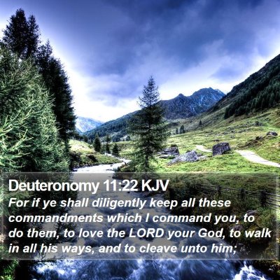 Deuteronomy 11:22 KJV Bible Verse Image